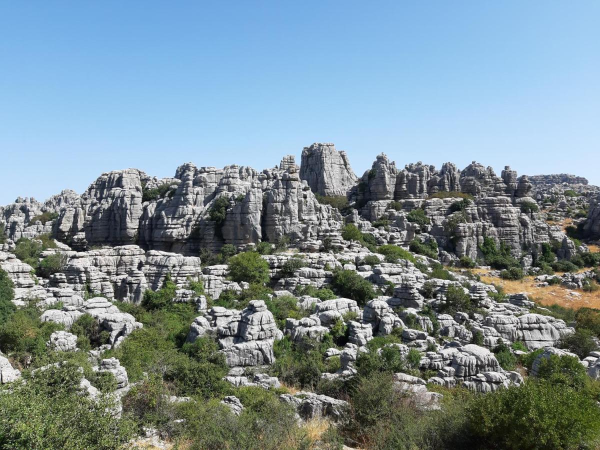 Casa Lo Pinto Private Pool South Of El Torcal -unesco- *